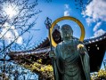 小桃花妖求姻缘，月老一句话让她从此不敢再想