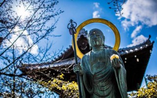 五七年出生属鸡人一生运势详解，晚年福运如何？