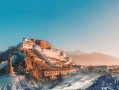 紫薇斗数图到底在讲什么？新手一看就懂的入门指南