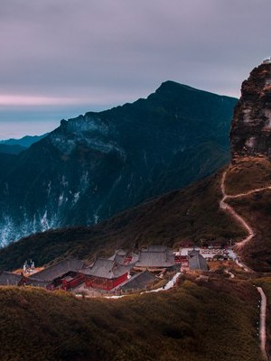 养狗也是讲缘分的，择个好日子接毛孩子回家，运势能顺不少