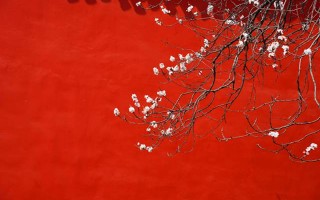 从八字看财运，你手中的钱袋子到底能装多少？