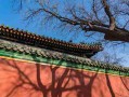 缺啥补啥？手把手教你查自己命里缺啥五行