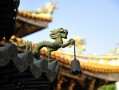 紫薇斗数自学入门，手把手教你读懂命盘，这些要点别错过