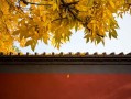 宝宝五行缺啥？别急，我教你一个笨办法，自己就能查