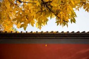 瞎子算命电影里藏着的国学密码，你看懂了吗？
