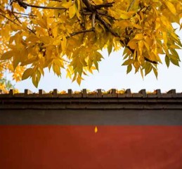 安香火吉日图，老祖宗传下来的讲究，别不当回事