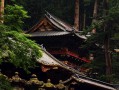贵人真的能下载吗？聊聊我命中的那些贵人和玄学里的缘分
