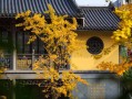 月老第八十二签，姻缘路上，别被表象迷了眼