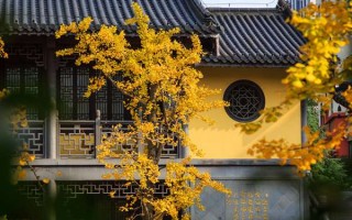 中国算命第一大师排名表，看完我沉默了