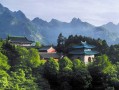 八字看五行缺失，其实没那么玄乎，手把手教你一眼瞅出来
