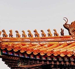 宠物八字属性大全，你家毛孩子五行是啥？养对了旺家，养错了亏财！