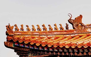 宠物八字属性大全，你家毛孩子五行是啥？养对了旺家，养错了亏财！