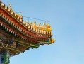 月老赐我五根姻缘合集，看完你就懂了