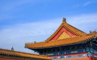家里摆富贵竹能补五行？这事儿得看怎么摆